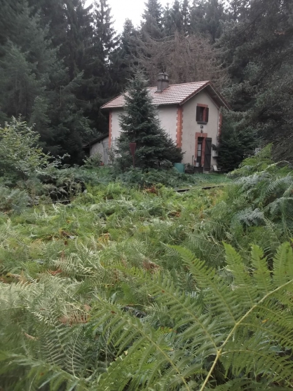 Rare maison isolée en pleine forêt
