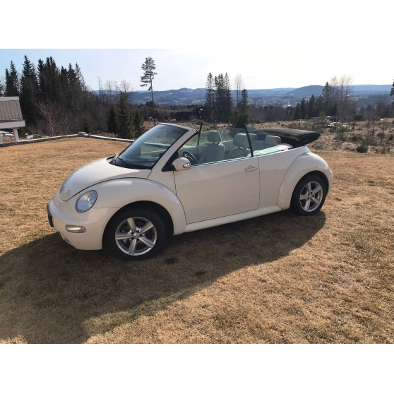 Annonce occasion, vente ou achat 'Volkswagen Beetle Anne 2006'