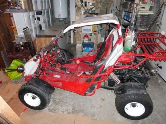Annonce occasion, vente ou achat 'buggy kinroad'