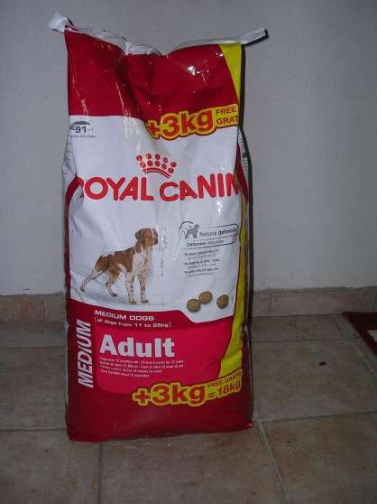 Annonce occasion, vente ou achat 'croquettes royal canin'