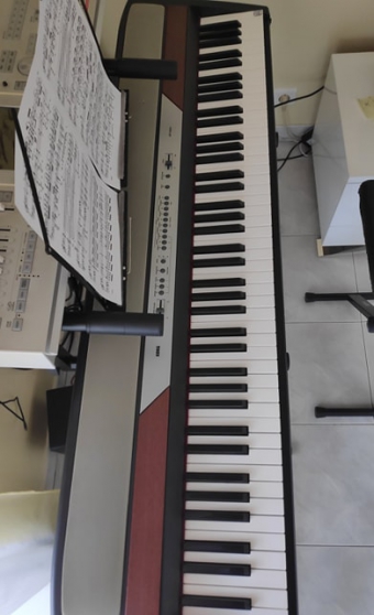 Annonce occasion, vente ou achat 'Korg SP 250 piano numrique'