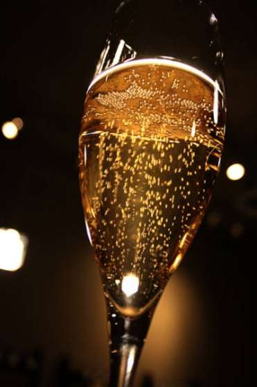 Annonce occasion, vente ou achat 'Bar Champagne Belgique rech. Htesse'