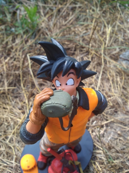 Annonce occasion, vente ou achat 'Figurines Goku Dragon Ball'
