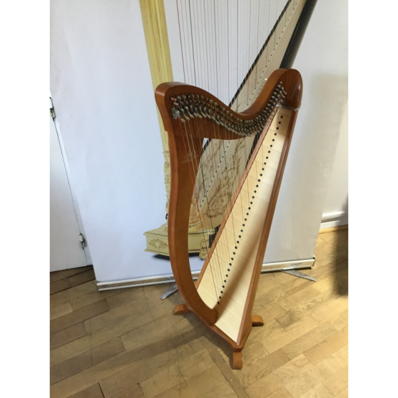 Annonce occasion, vente ou achat 'Harpe Celtique'