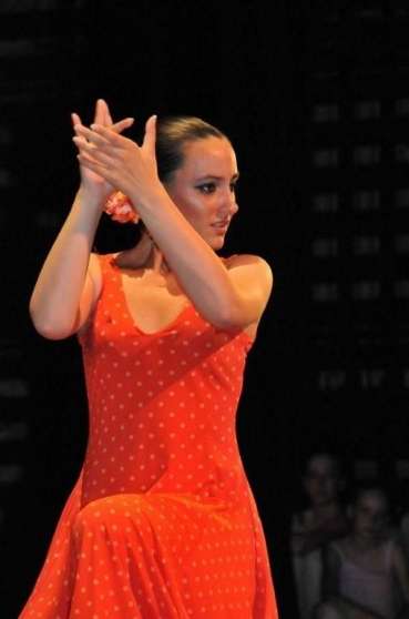 Annonce occasion, vente ou achat 'Stage Flamenco'