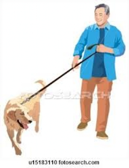 promenade de votre chien