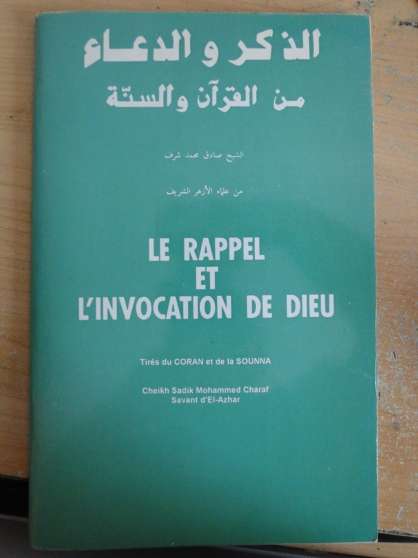 Annonce occasion, vente ou achat 'Lvangile  franais arabe de cheikh sa'
