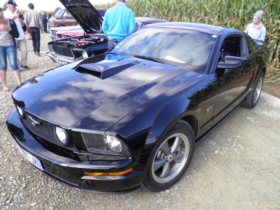 FORD MUSTANG GT 4.6 L