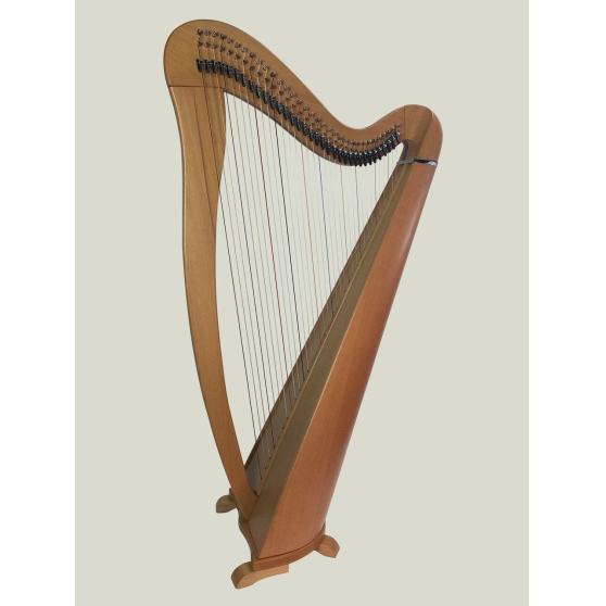 Annonce occasion, vente ou achat 'Harpe celtique 34 Cordes'