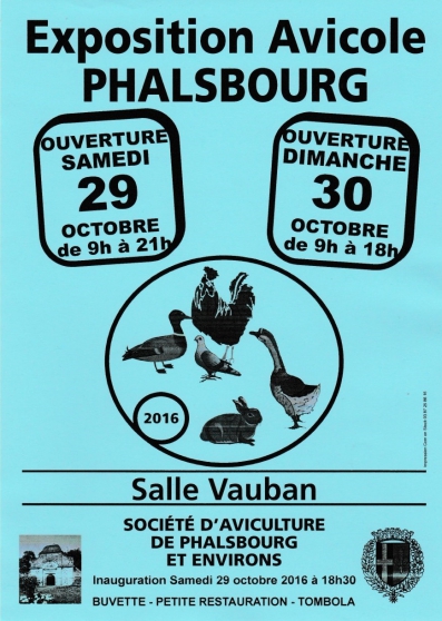 Annonce occasion, vente ou achat 'exposition avicole phalsbourg'