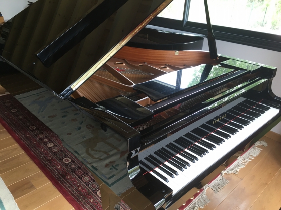 Annonce occasion, vente ou achat 'Piano  queue Yamaha C6 de 1999'