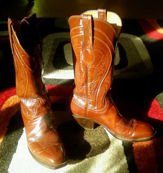 Annonce occasion, vente ou achat 'Bottes taxanes LUCCHESE T42'