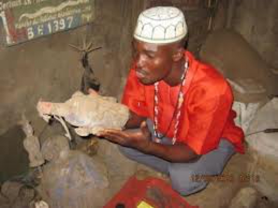 Annonce occasion, vente ou achat 'Grand sorcier marabout africain a votre'