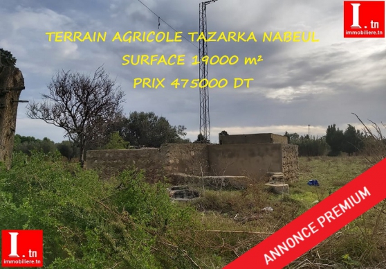 Annonce occasion, vente ou achat 'Terrain Agricole Tazarka 3M494'