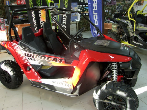 Annonce occasion, vente ou achat 'xtrail 700 BUGGY'
