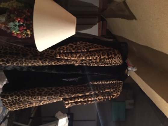 Annonce occasion, vente ou achat 'Manteau Leopard et vison'