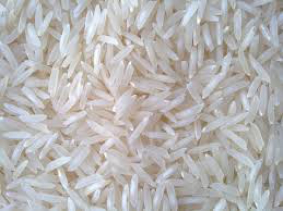 Annonce occasion, vente ou achat 'Recherche un fournisseur de riz'