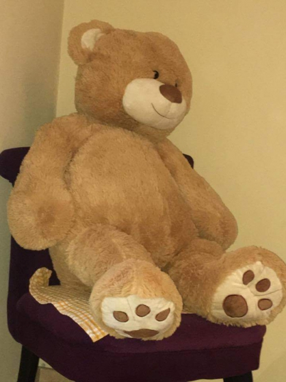 Annonce occasion, vente ou achat 'Grosse Peluche ours'