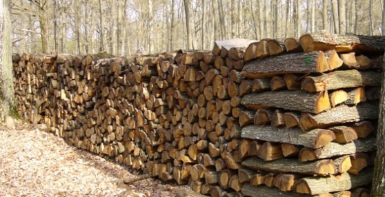 stock de bois chauffage