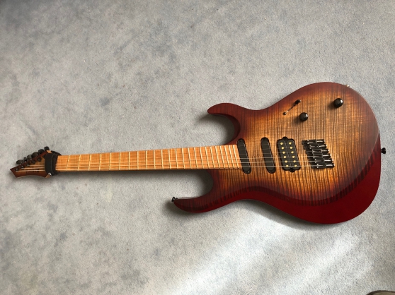 Annonce occasion, vente ou achat 'KIESEL ARIES MULTISCALE 6'