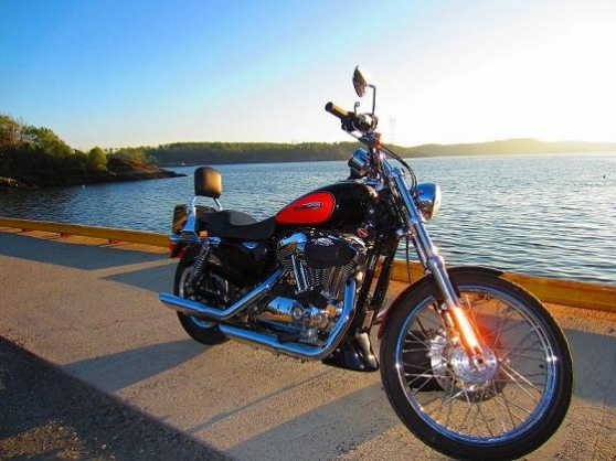 Annonce occasion, vente ou achat 'Harley-Davidson Sportster XL1200 C 2009'