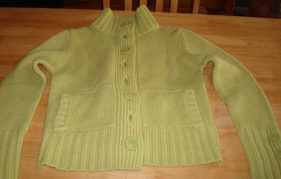 Annonce occasion, vente ou achat 'Gilet vert, taille S. Trs mode'