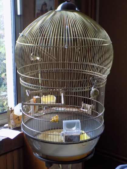 Belle grande cage a oiseaux