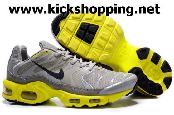 Annonce occasion, vente ou achat 'chaussure air max TN homme neuf'