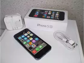 iPhone 5s 16Go Gris Sidéral