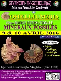 GOHELLIUM2016 Bourse MInéraux-Fossiles