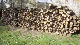 bois de chauffage, chêne en 50 cm