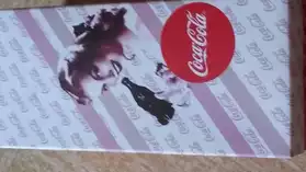 Boîte Coca Cola