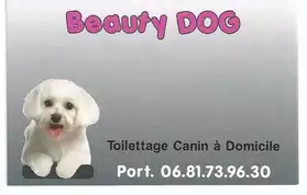 toilettage canin a domicile