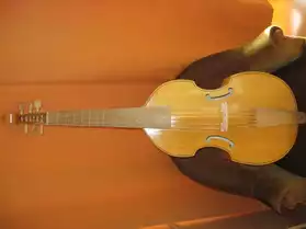 Basse de viole 6 cordes