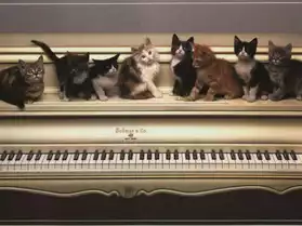 Donne cours de piano