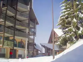 loc studio ski vtt domaine alpes huez