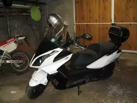 Vend Scooter