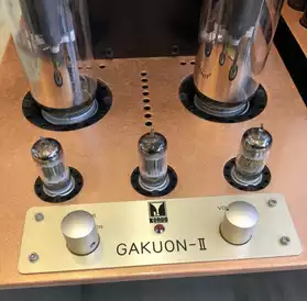 Kondo Gakuon 11