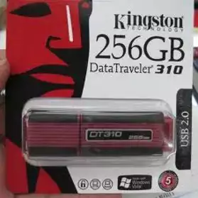 Clé USB DATATRAVELER 310 - 256 Go