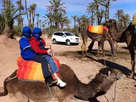 Balade Dromadaire Marrakech