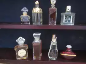 lot de parfum 8 miniature