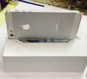 Apple iPhone 5- 16 Go - blanc et argent