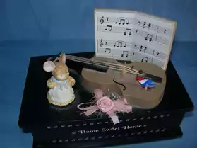 belle boîte à musque violon