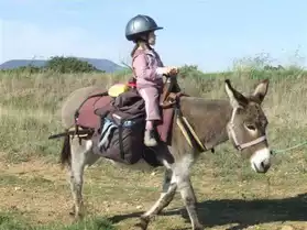 Promenades à dos d'âne pour enfants