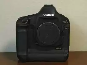 Canon EOS 1Ds 10.1 mp
