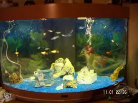 aquarium d'angle de 200 litres