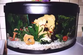 aquarium demi-bombé