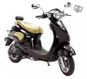 scooter electrique (50cc)