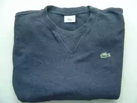 pull LACOSTE
