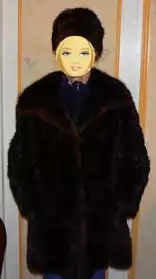 Manteau de vison